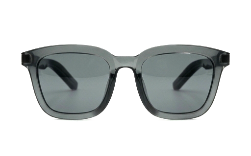 Harlen Smart Glasses