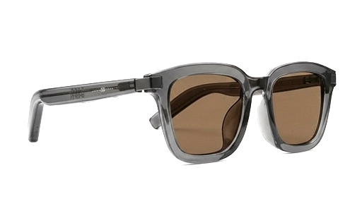 Harlen Smart Glasses
